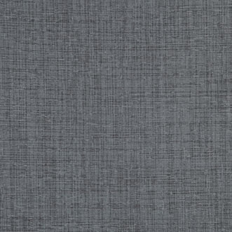 Glimpse, Shale - Fabric Only